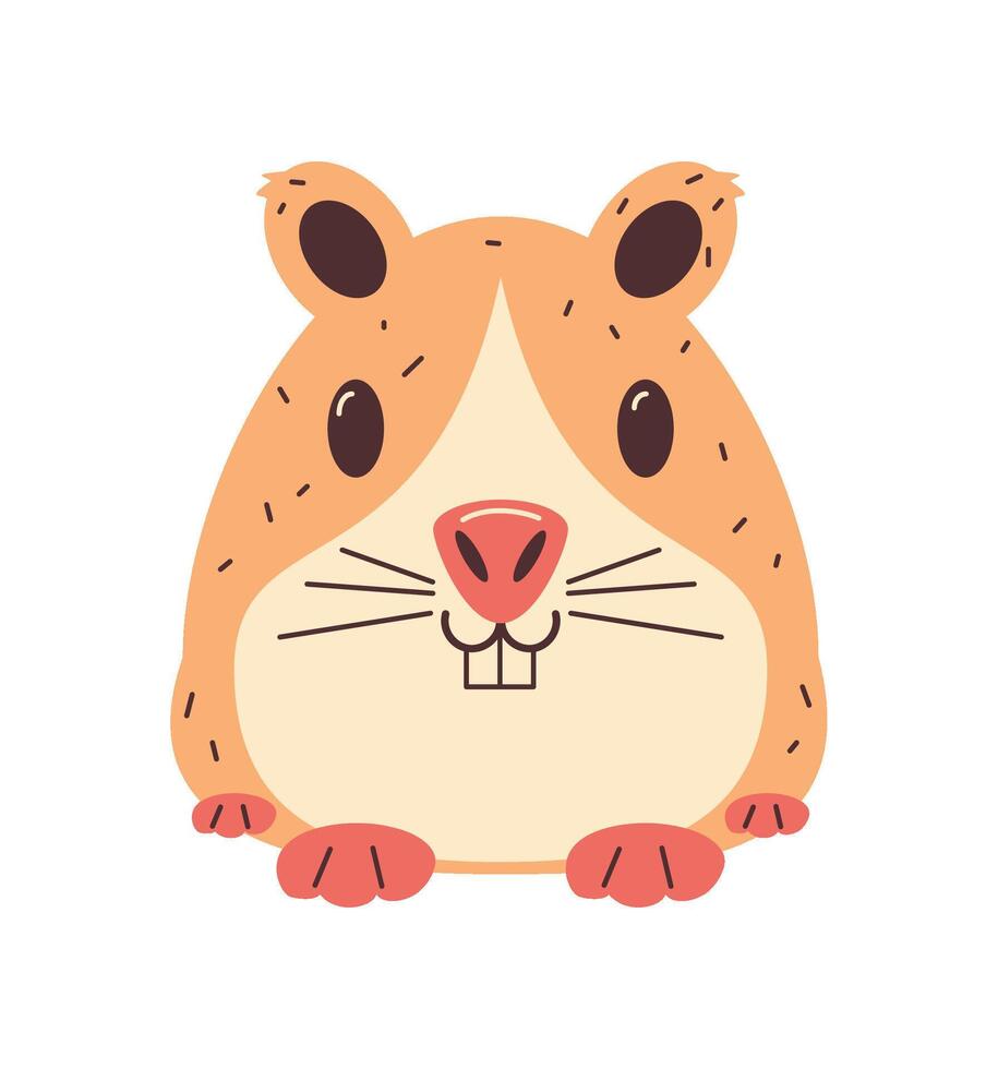 peru guinea pig illustration isolated vector