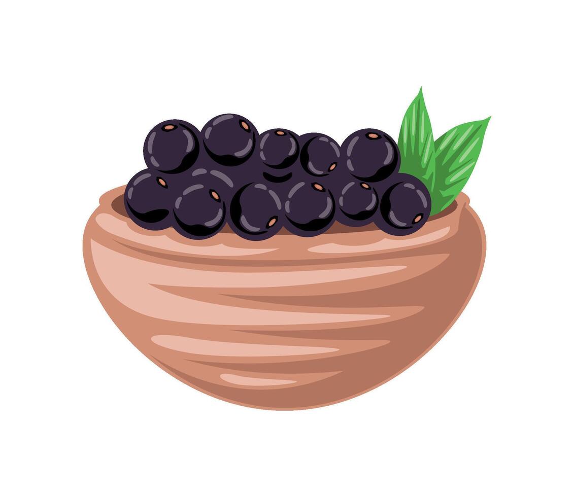 acai fruit in bowl illustration isolated vector