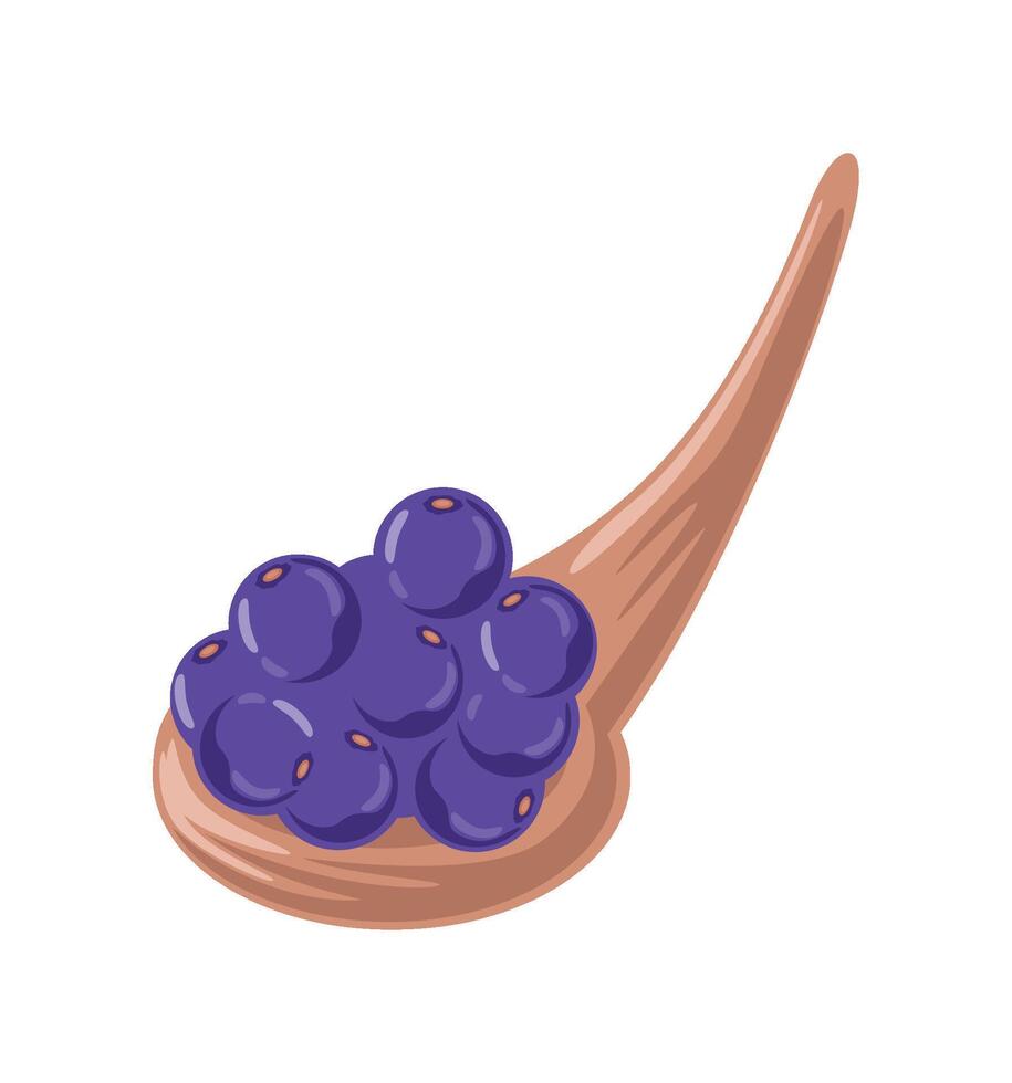 acai in spoon illustration isolated vector