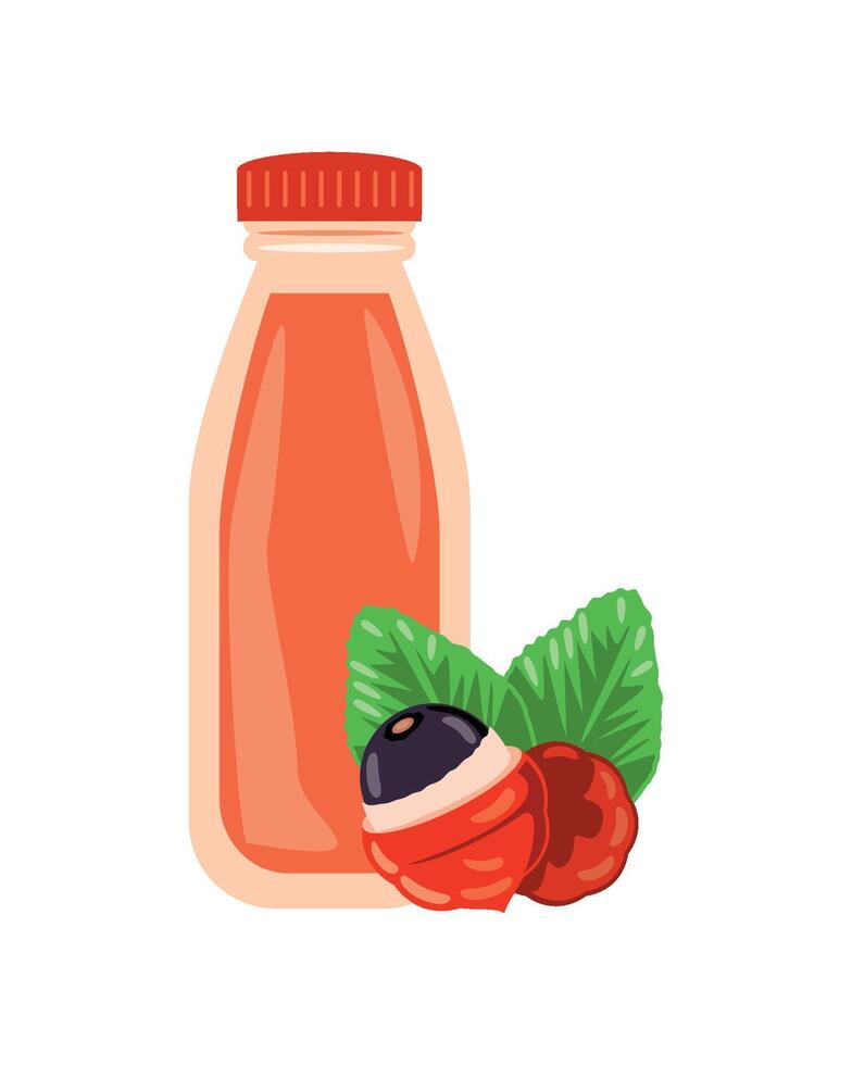 acai beverage bottle illustration isolated vector