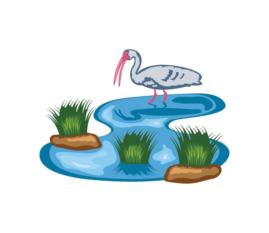 wetland and bird illustration isolated vector