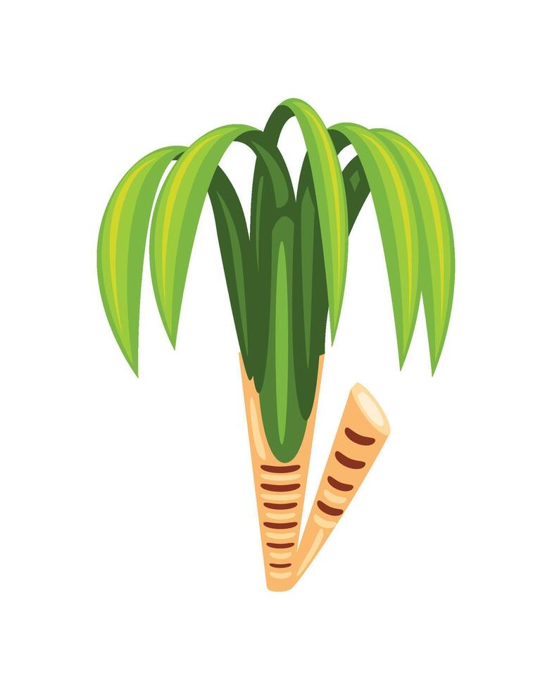 tropical palm design illustration vector