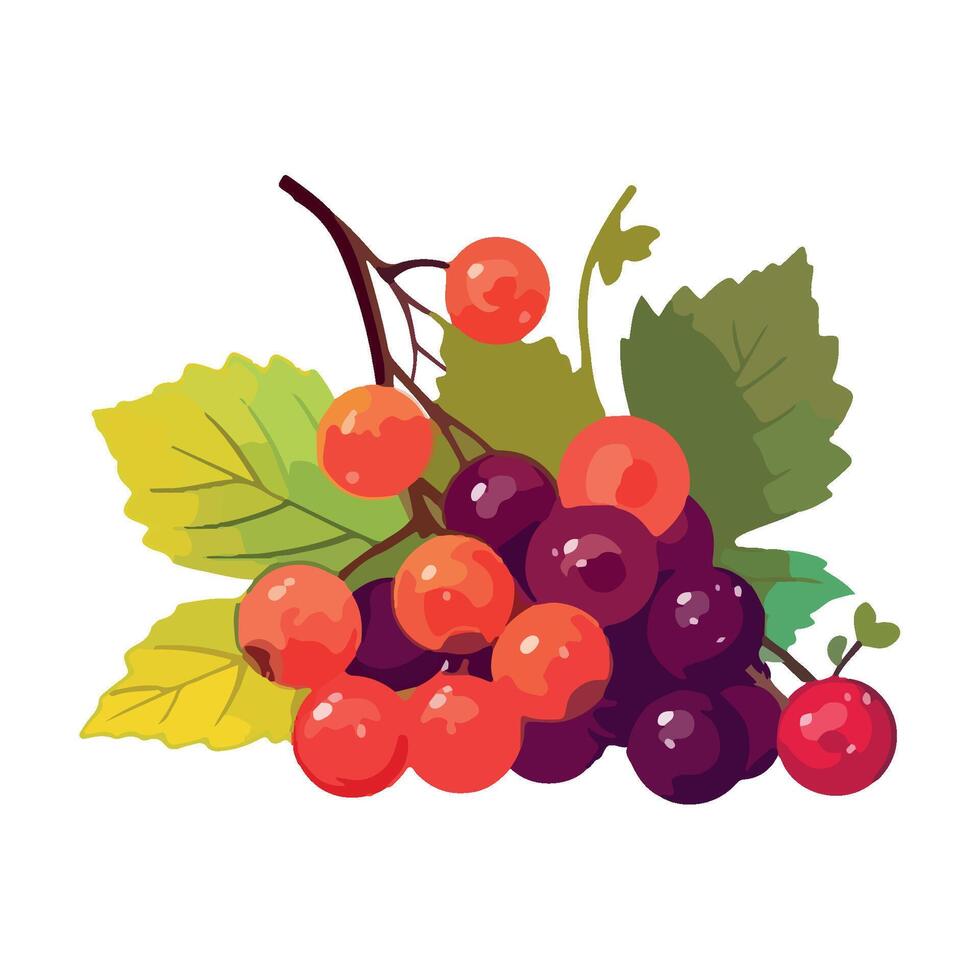 Ripe berry fruit on fresh green leaf icon isolated vector