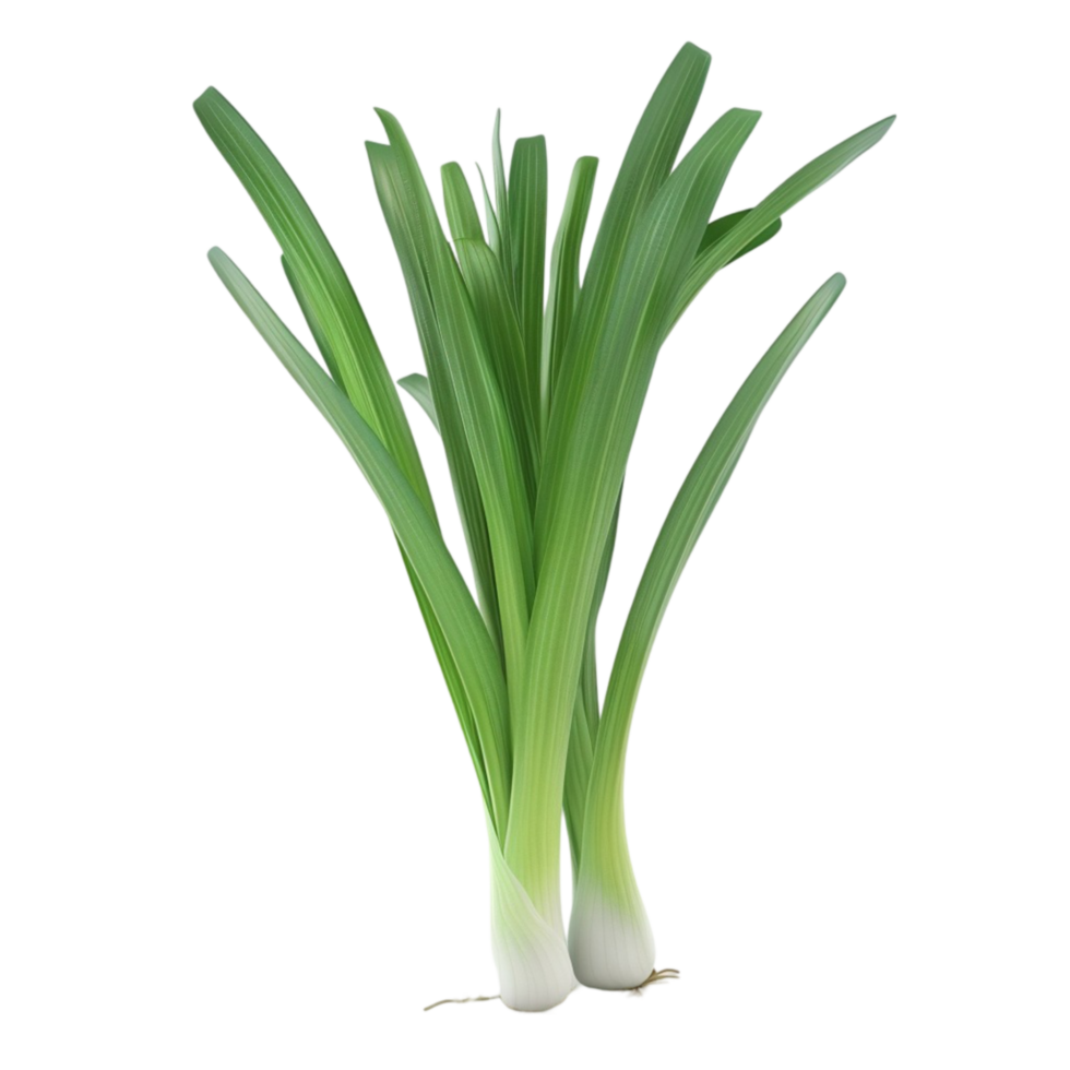 Leek Vegetable and Garlic Onion on Transparent Background AI-Generative png