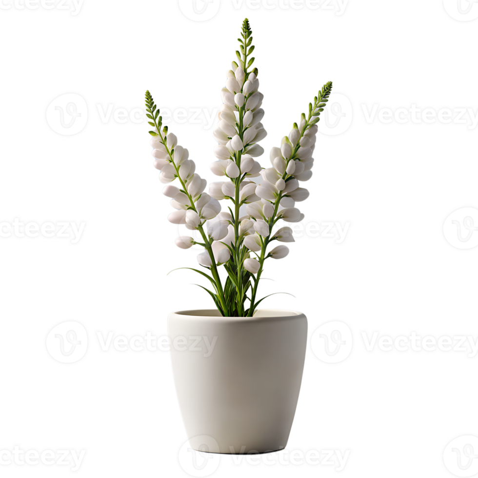 3d render of a snapdragon flowers in white pot png