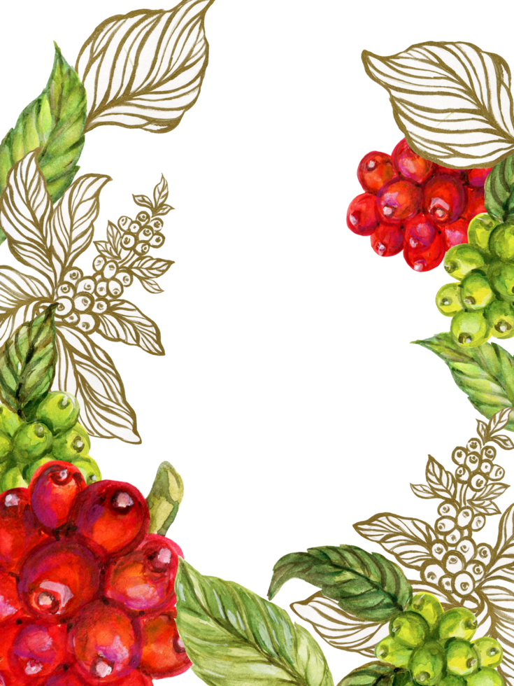 Coffee tree watercolor illustration for decor pattern, invitation and greeting card design. png
