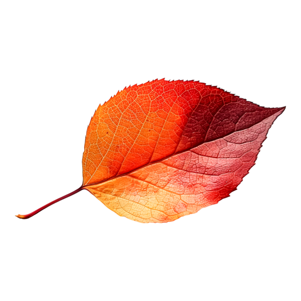 Fresh Leaves in Outdoor Setting Highlighting Natural Botanical Beauty png