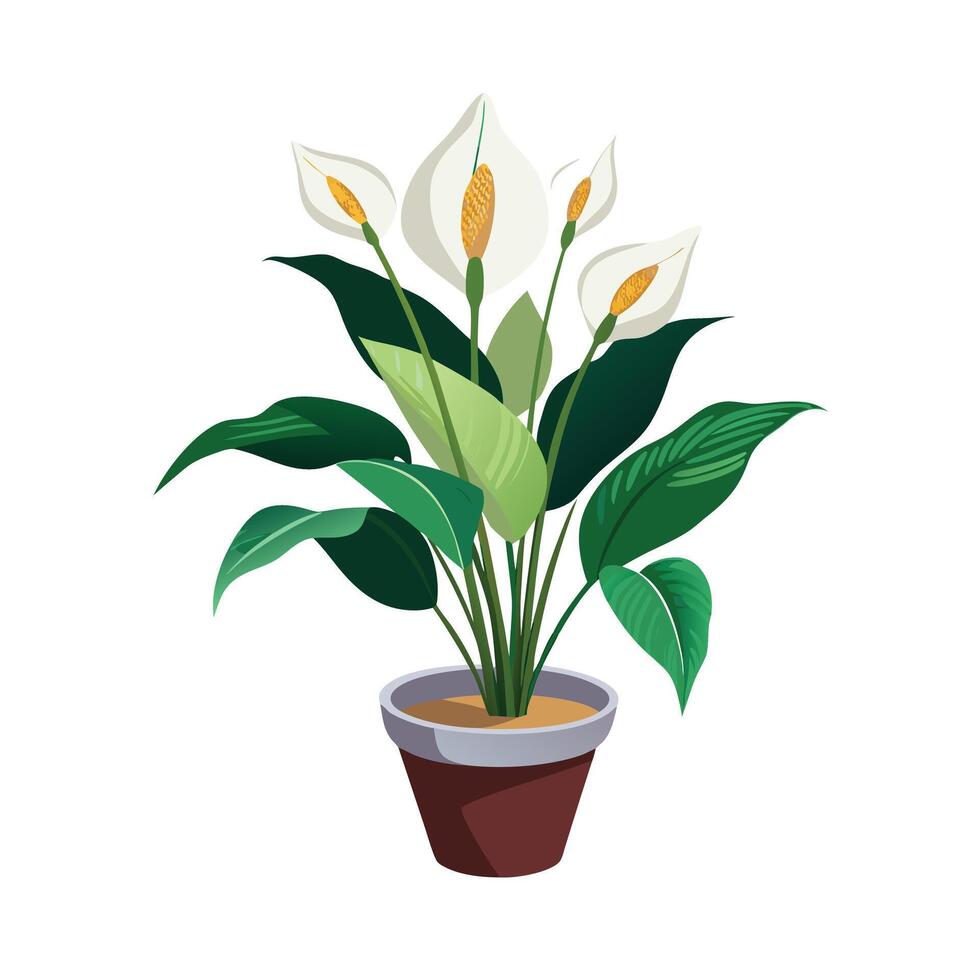 Beautiful Flowerpot Houseplant Illustration vector