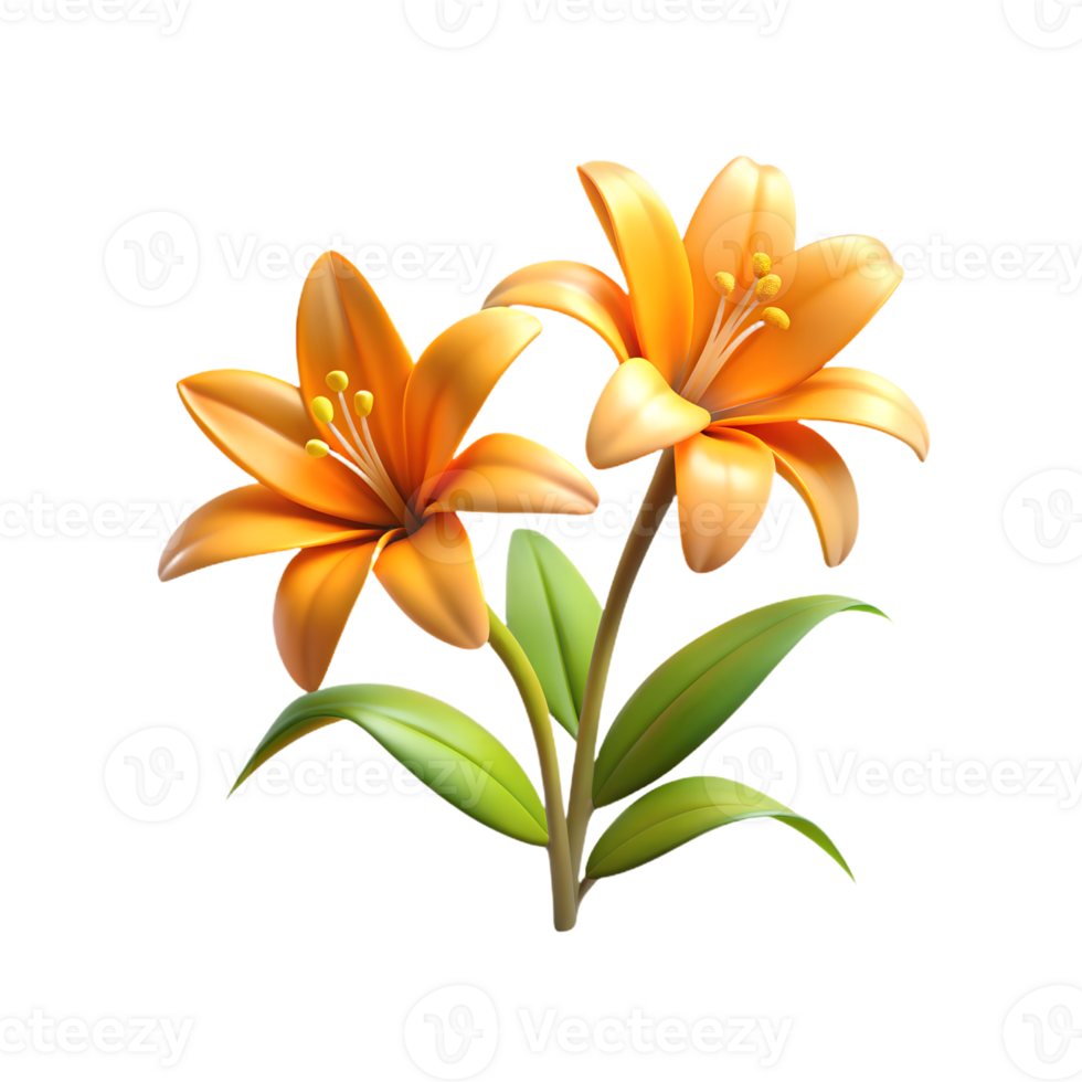 orange lily flowers on transparent background png