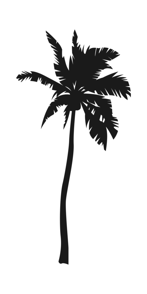 Silhouette of palm tree, coconut tree. Nature, environment concept illustration. png
