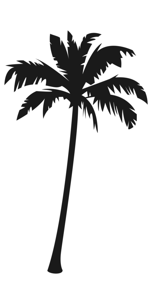 Silhouette of palm tree, coconut tree. Nature, environment concept illustration. png