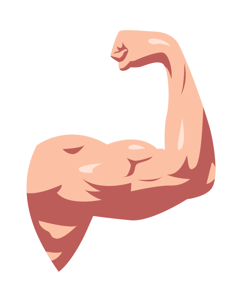 Male biceps muscles. Flexing biceps, strong arm. Flat illustration style. png