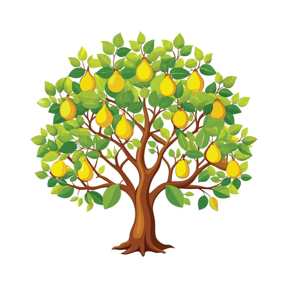 Beautiful Single Big Tree Illustration vector