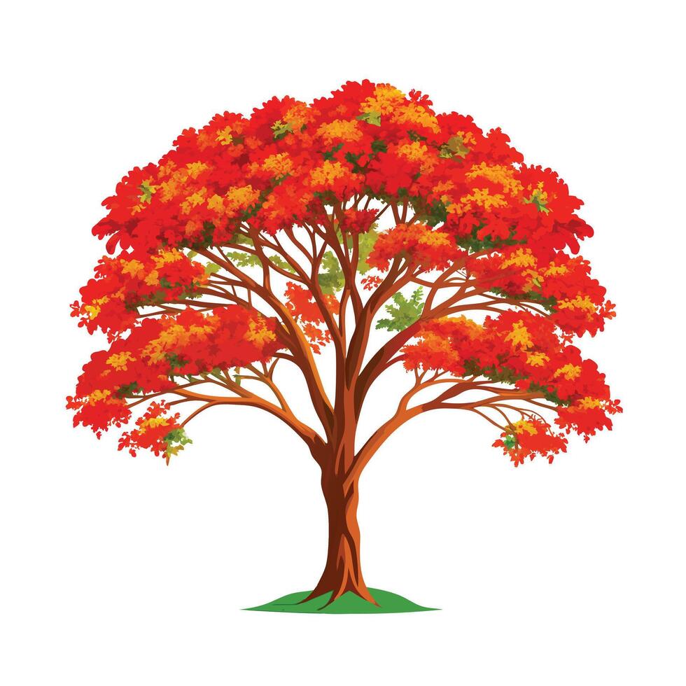 Beautiful Single Big Tree Illustration vector