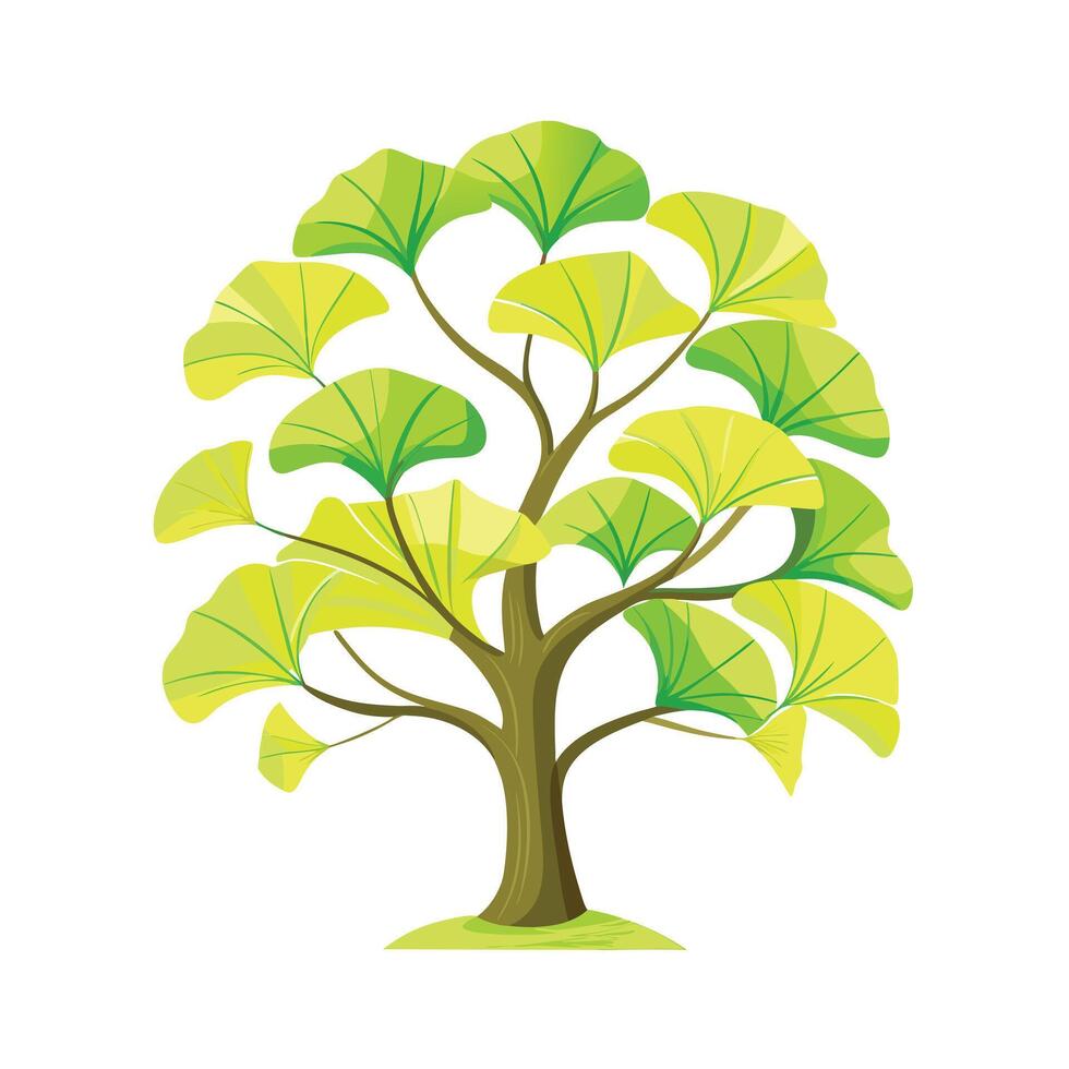Beautiful Single Big Tree Illustration vector