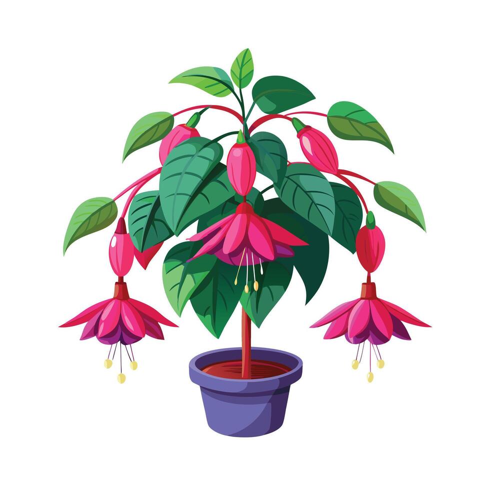 Beautiful Flowerpot Houseplant Illustration vector