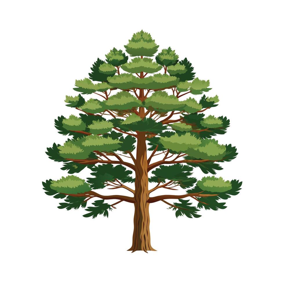 Beautiful Single Big Tree Illustration vector