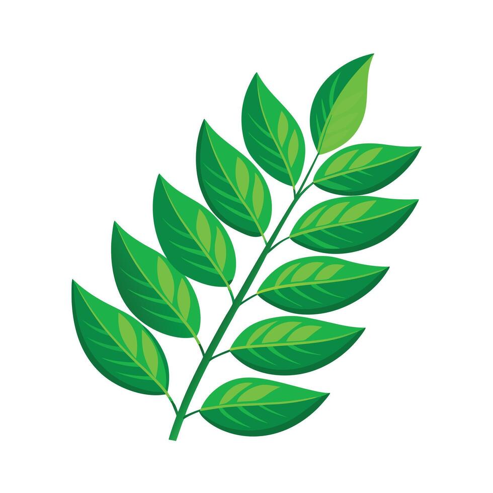 Realistic Beautiful Leaves Illustration vector