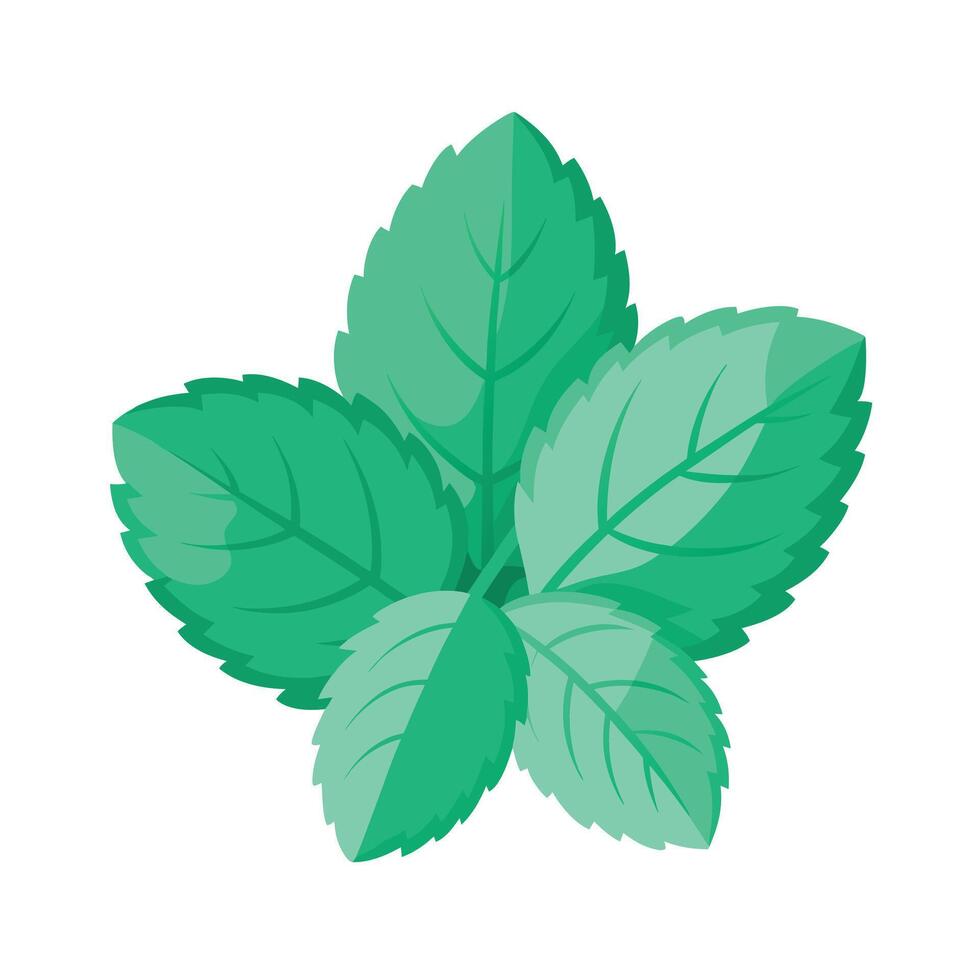 Realistic Beautiful Leaves Illustration vector