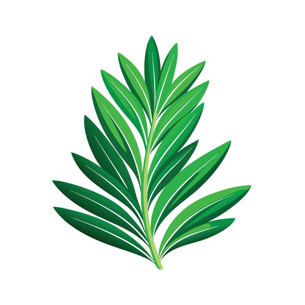 Realistic Beautiful Leaves Illustration vector