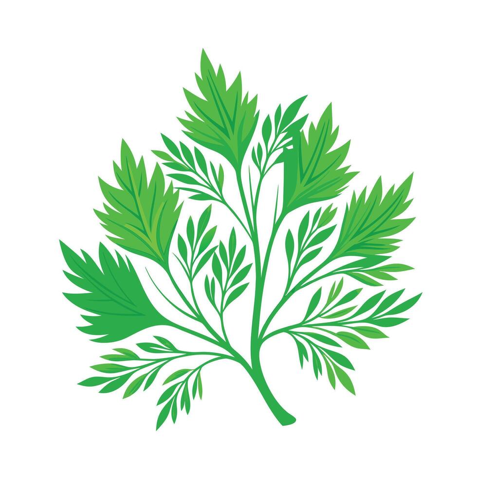 Realistic Beautiful Leaves Illustration vector