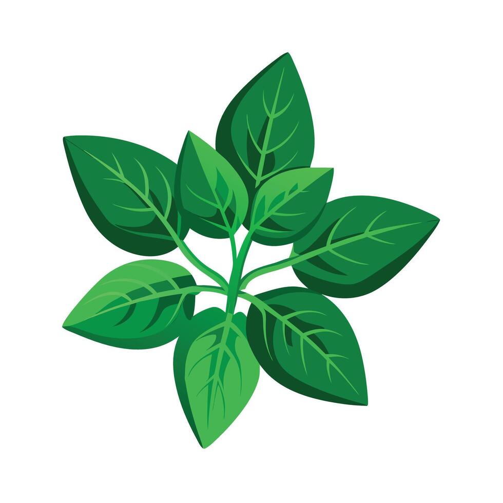 Realistic Beautiful Leaves Illustration vector