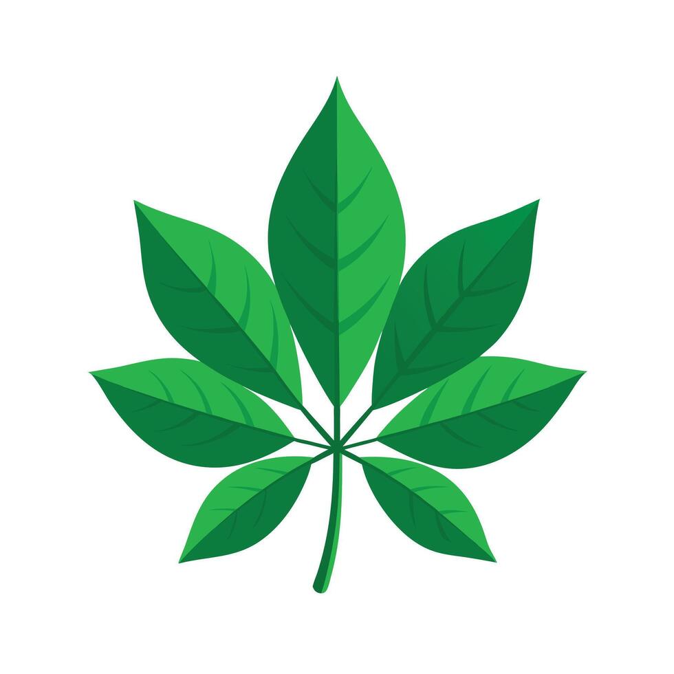 Realistic Beautiful Leaves Illustration vector