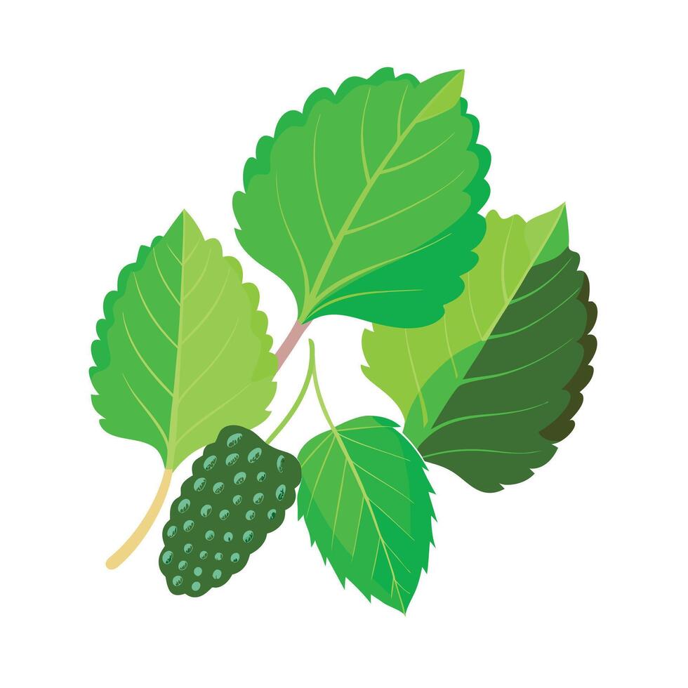 Realistic Beautiful Leaves Illustration vector
