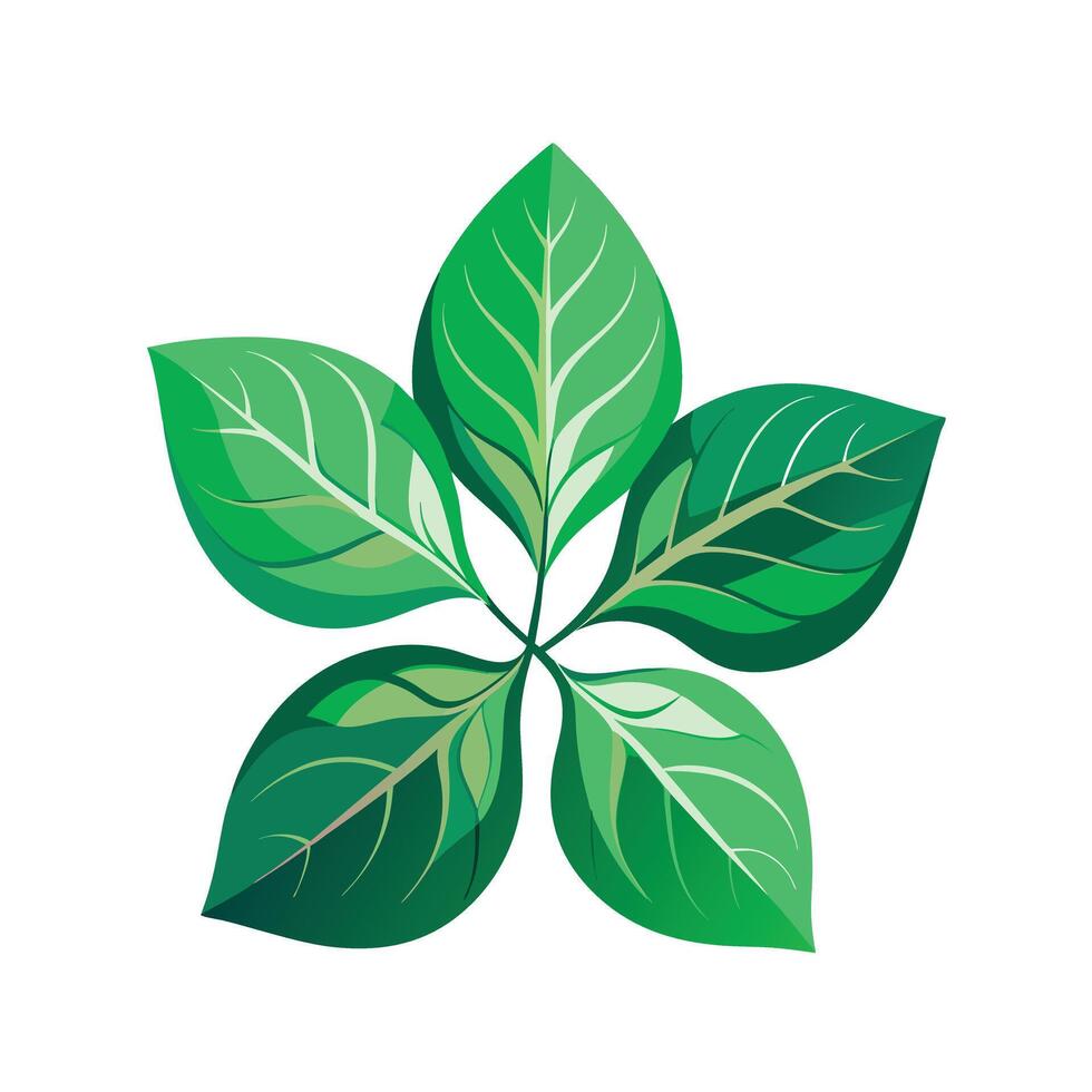 Realistic Beautiful Leaves Illustration vector