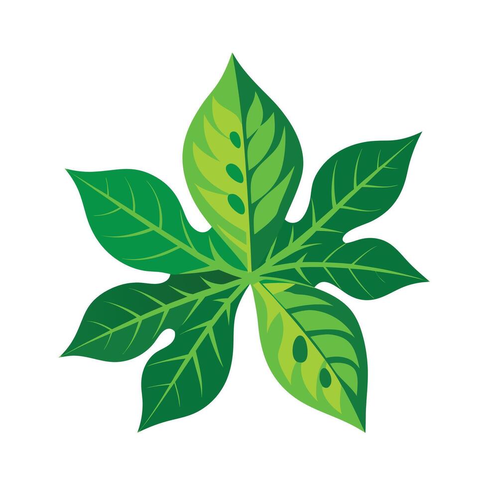 Realistic Beautiful Leaves Illustration vector