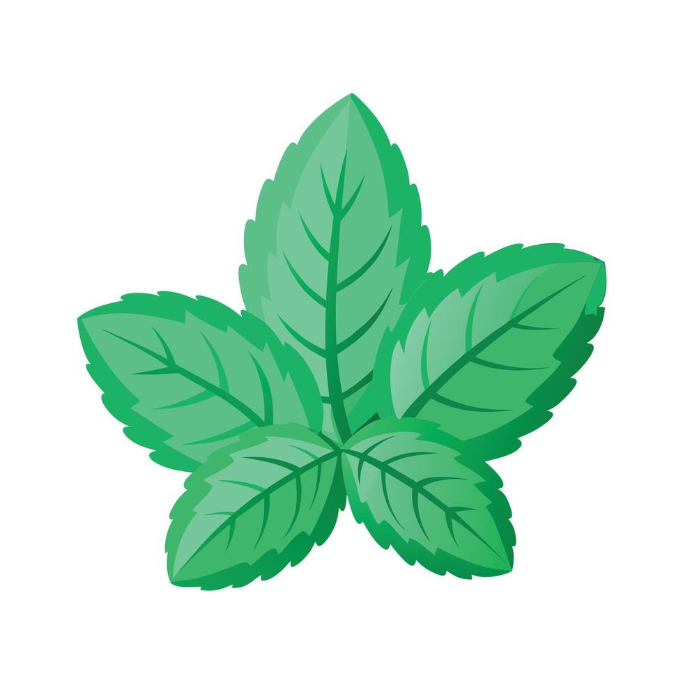 Realistic Beautiful Leaves Illustration vector