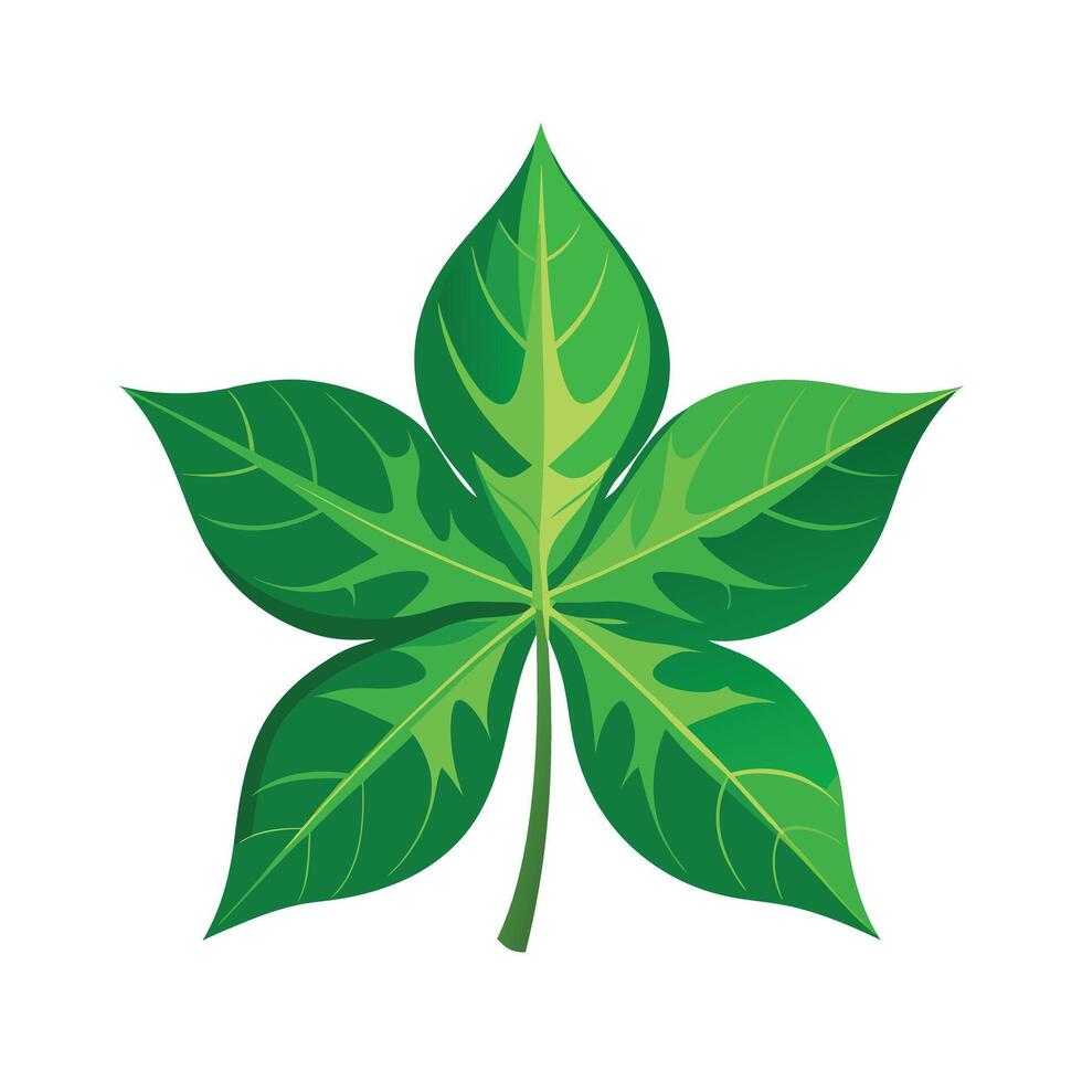 Realistic Beautiful Leaves Illustration vector