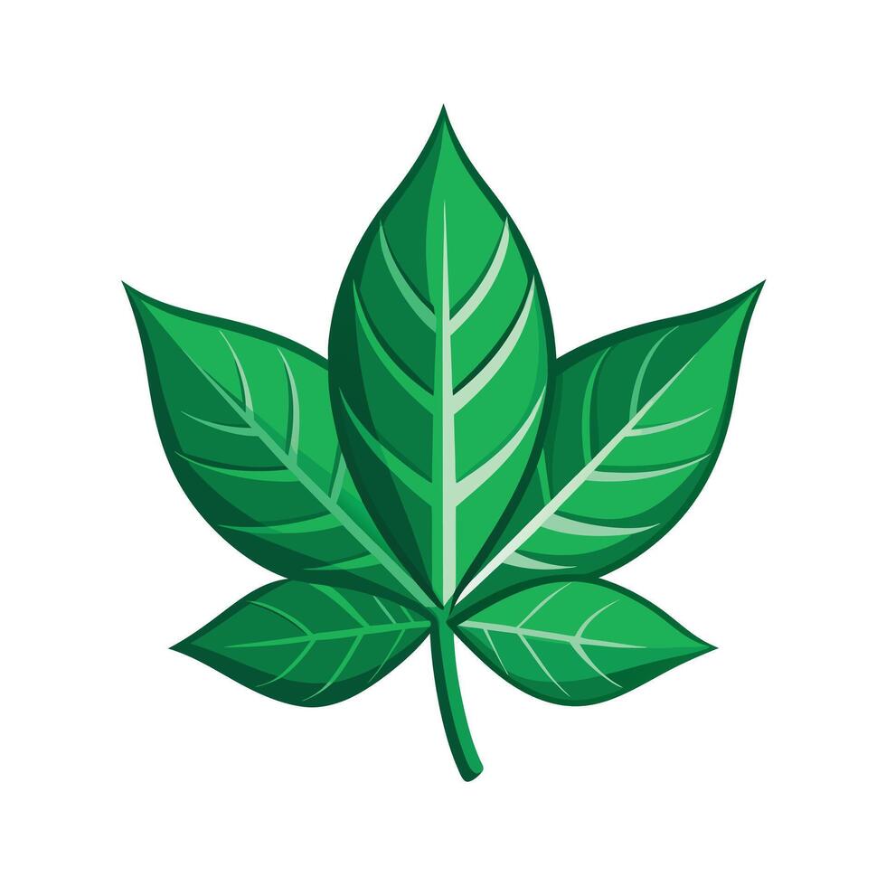 Realistic Beautiful Leaves Illustration vector