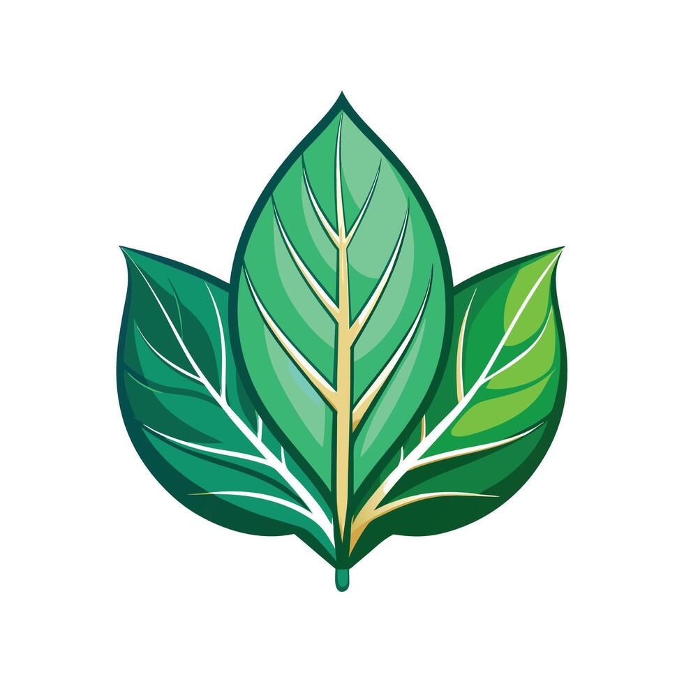 Realistic Beautiful Leaves Illustration vector