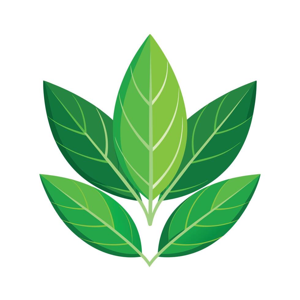 Realistic Beautiful Leaves Illustration vector
