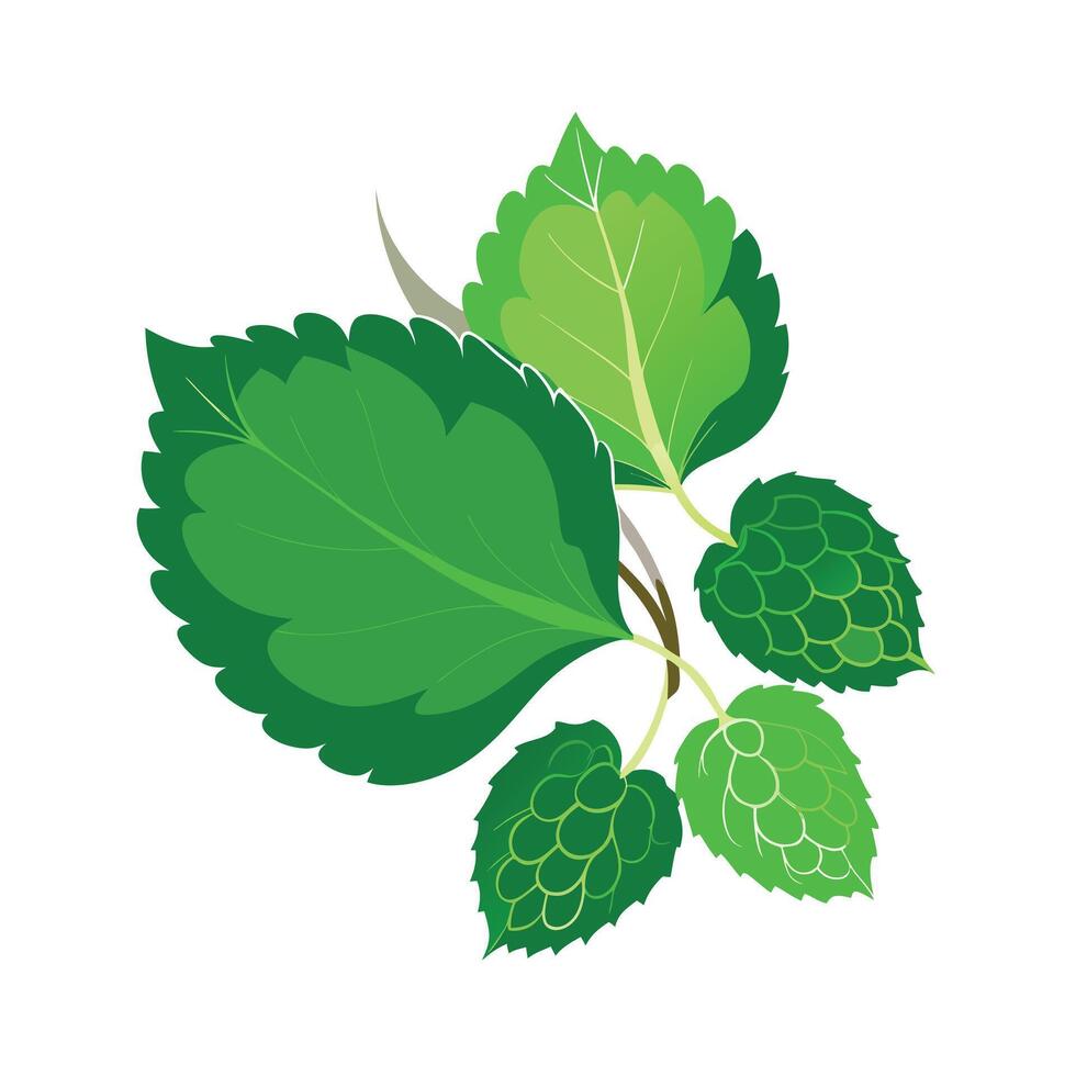 Realistic Beautiful Leaves Illustration vector