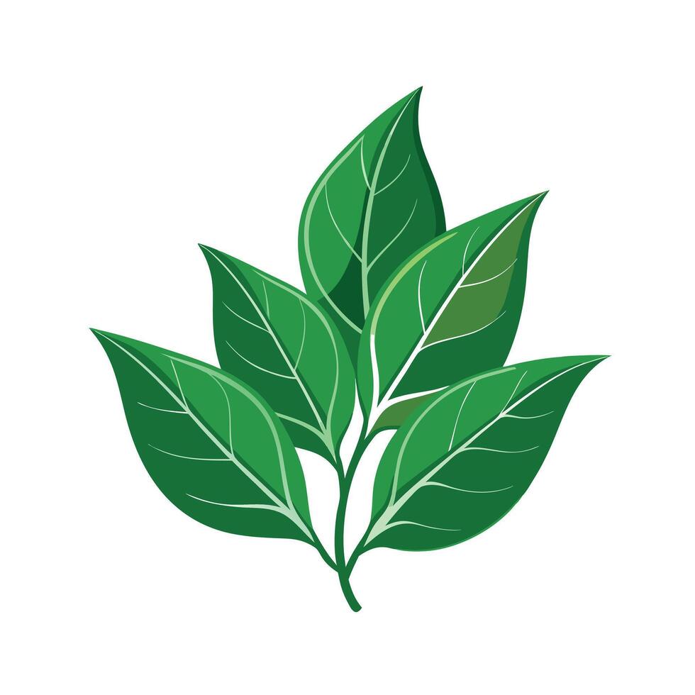 Realistic Beautiful Leaves Illustration vector