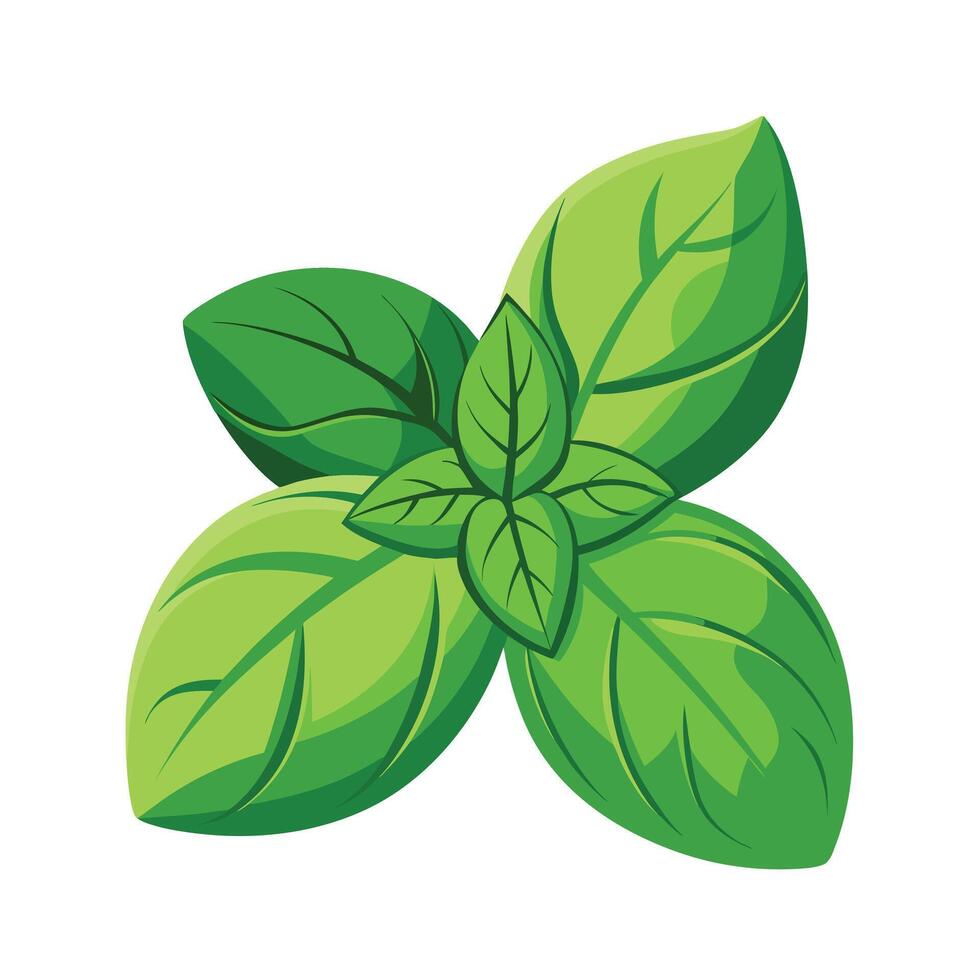 Realistic Beautiful Leaves Illustration vector