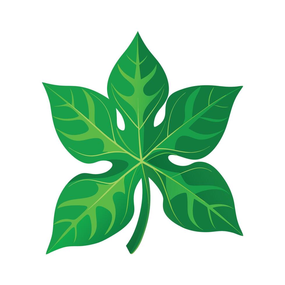 Realistic Beautiful Leaves Illustration vector