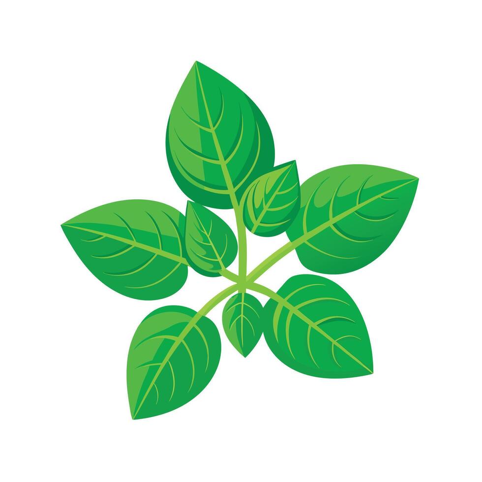 Realistic Beautiful Leaves Illustration vector