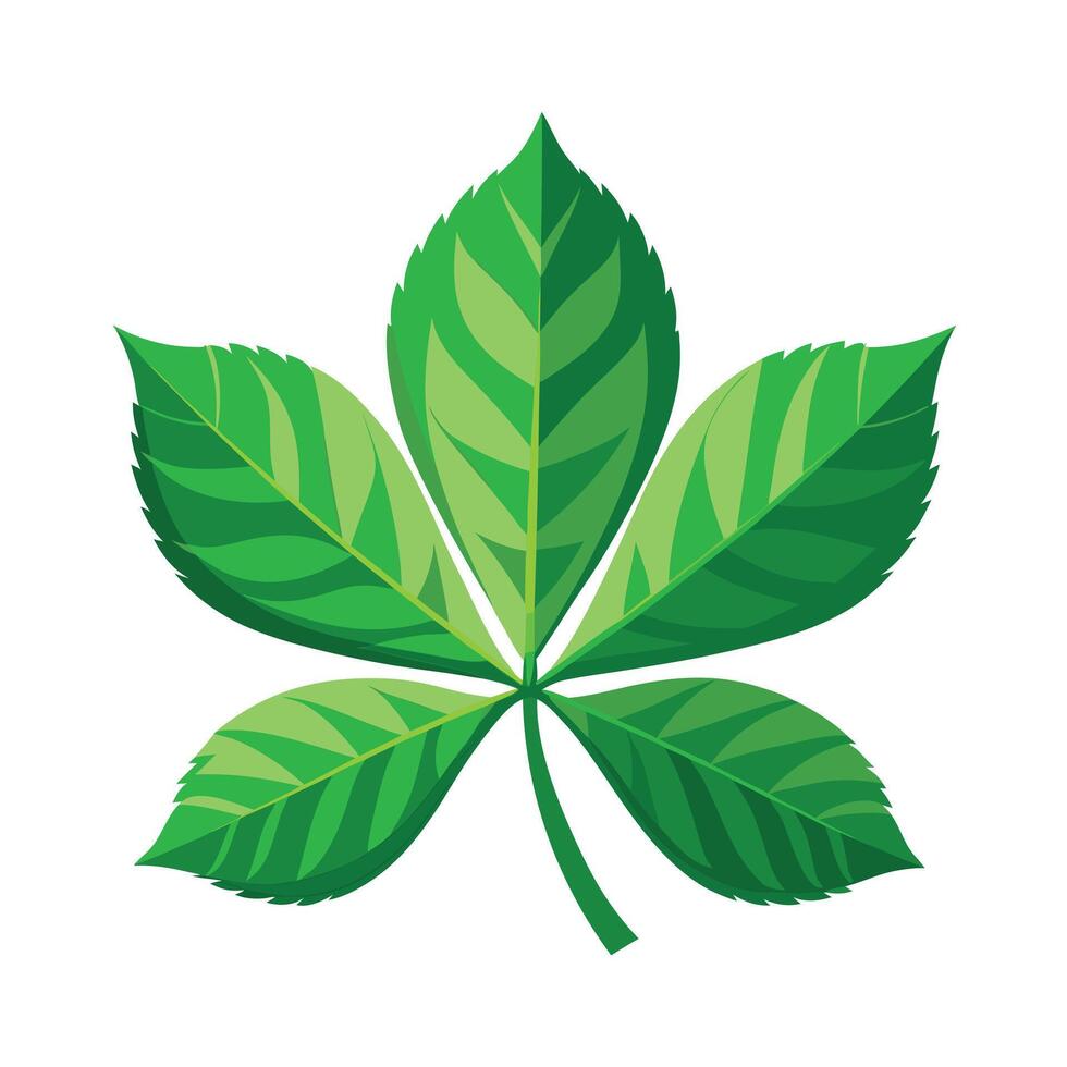 Realistic Beautiful Leaves Illustration vector