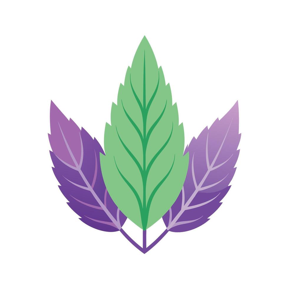 Realistic Beautiful Leaves Illustration vector