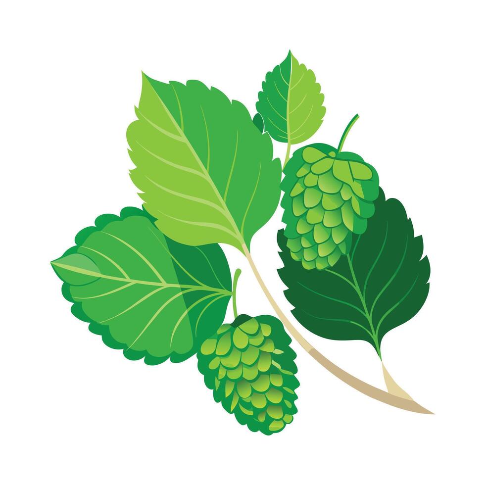 Realistic Beautiful Leaves Illustration vector