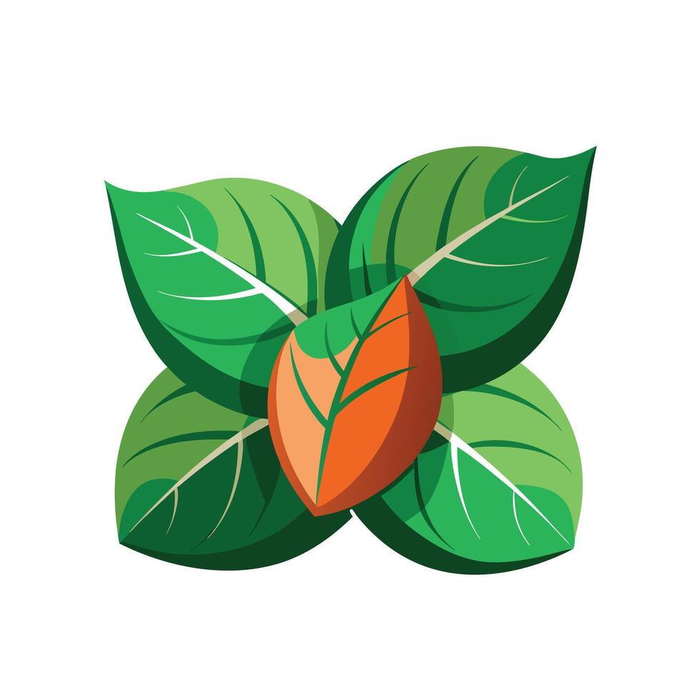 Realistic Beautiful Leaves Illustration vector