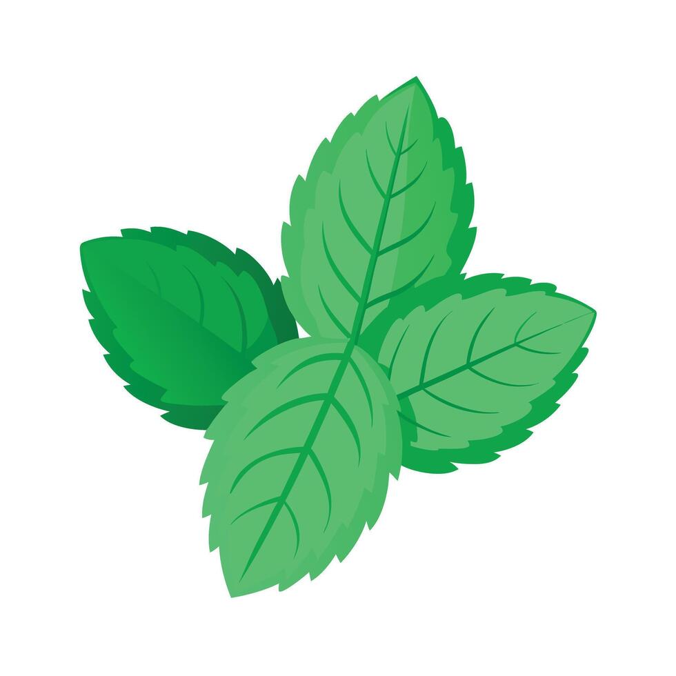 Realistic Beautiful Leaves Illustration vector