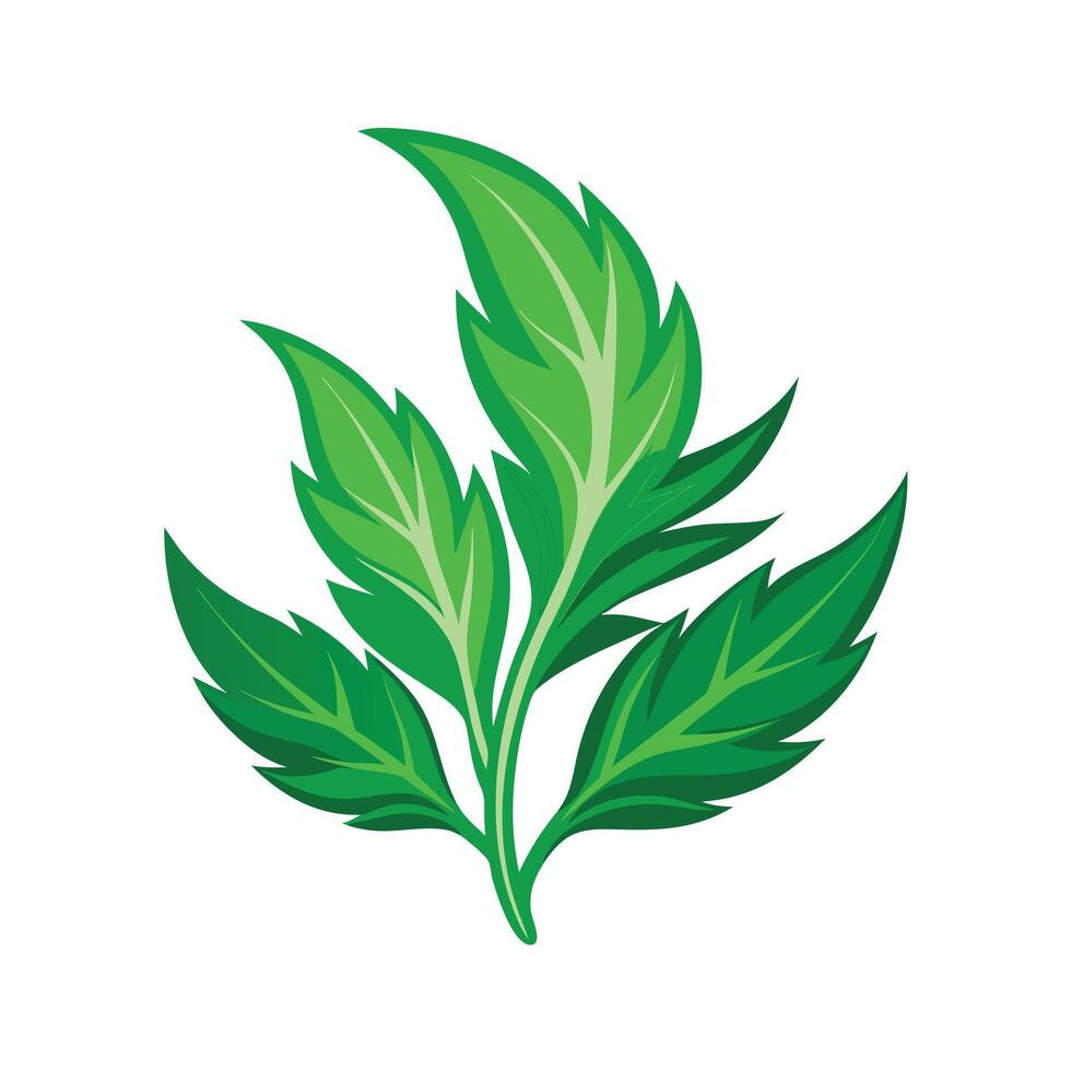 Realistic Beautiful Leaves Illustration vector