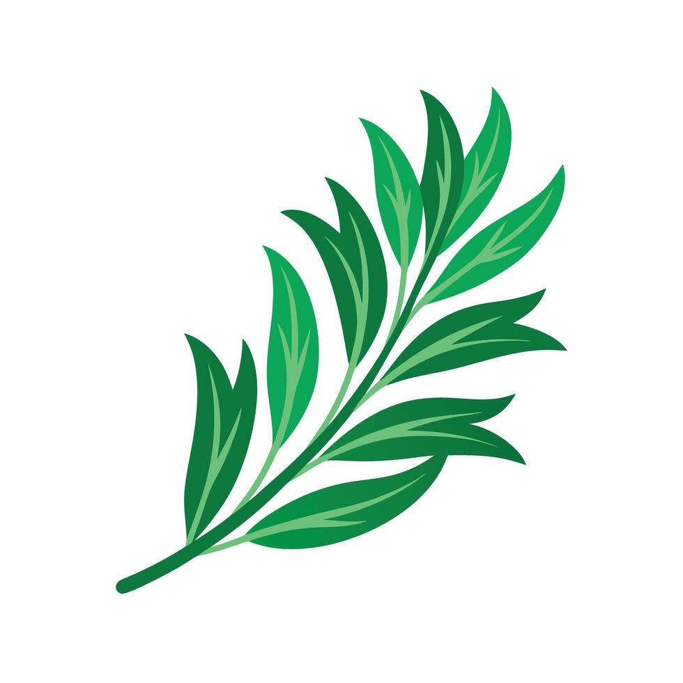 Realistic Beautiful Leaves Illustration vector
