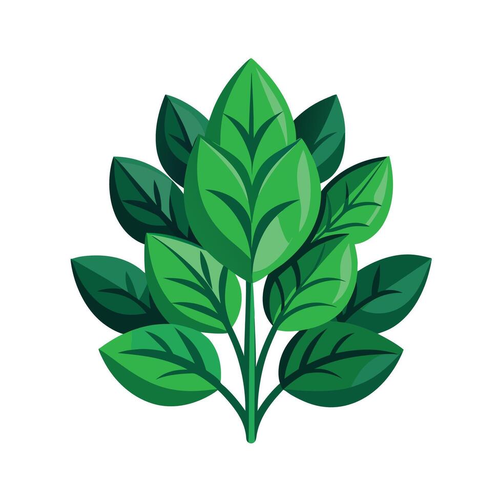 Realistic Beautiful Leaves Illustration vector