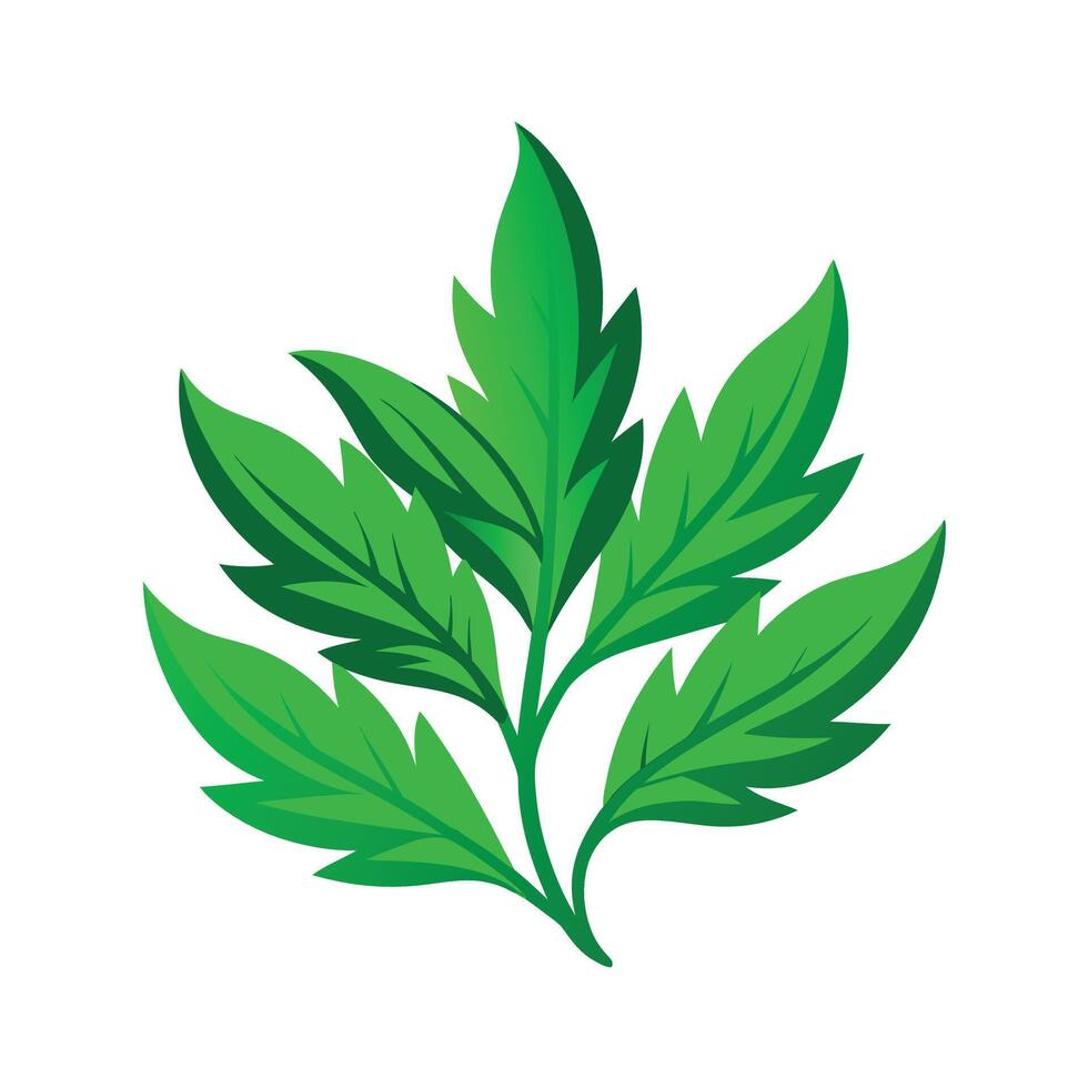 Realistic Beautiful Leaves Illustration vector