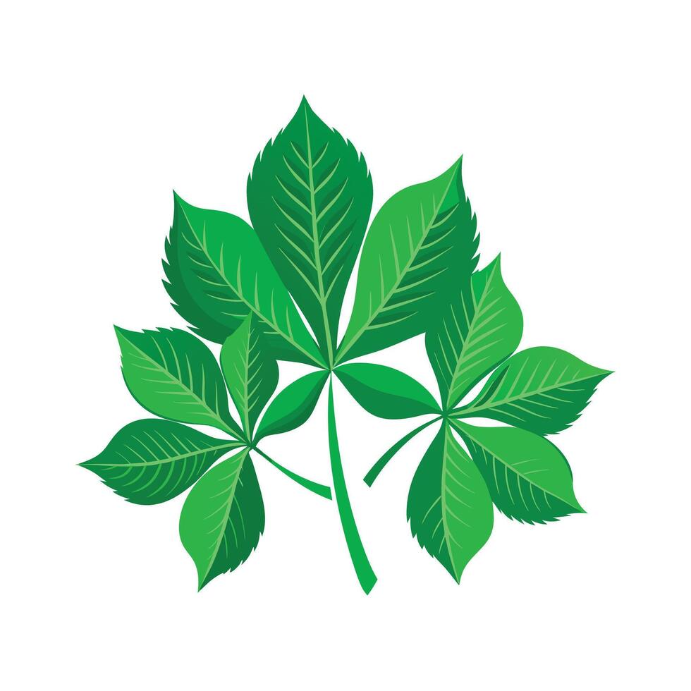 Realistic Beautiful Leaves Illustration vector